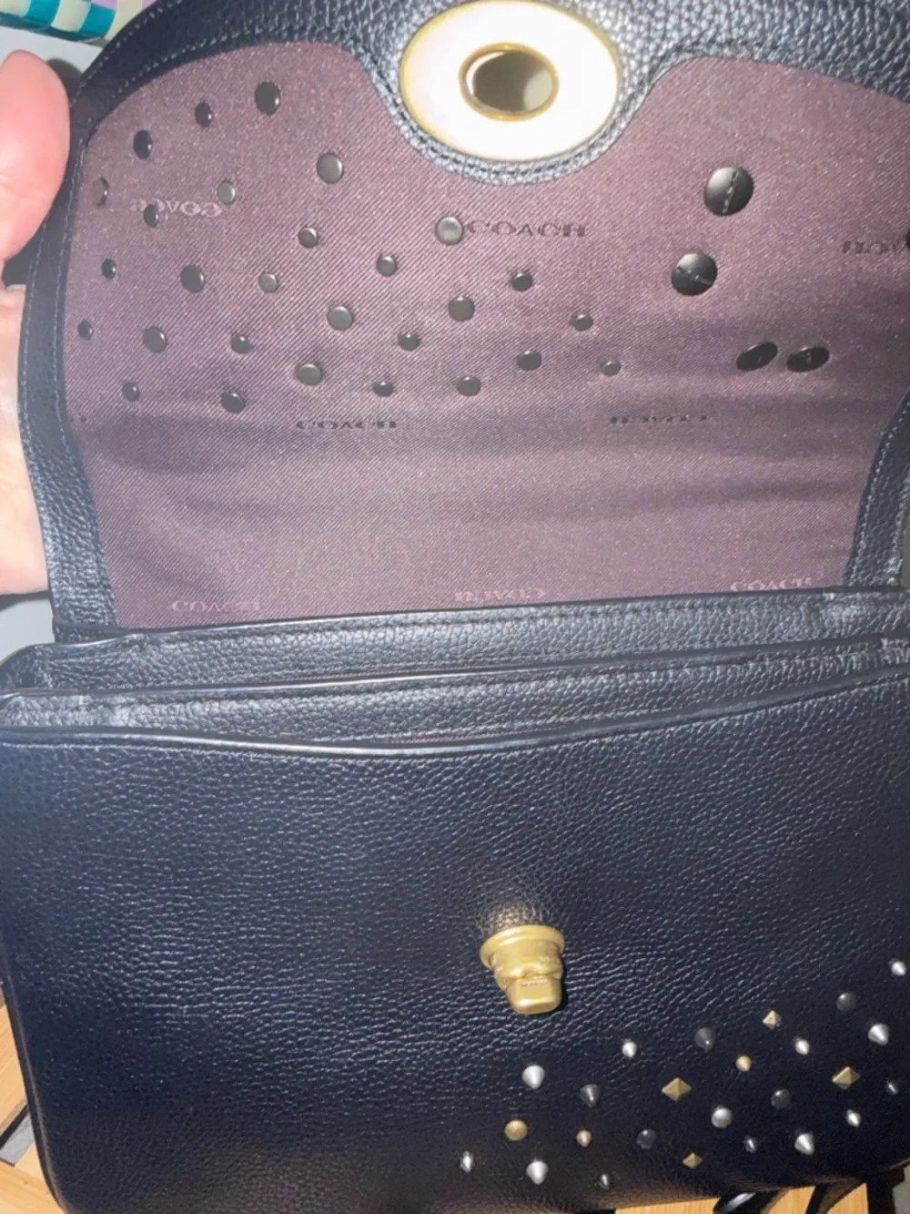 Coach Cassie - Picture 6 of 8